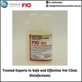 Trusted Experts in Safe and Effective Vet Clinic D, $ 0