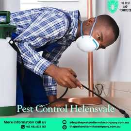 Expert Pest Control Services in Helensvale , Brisbane