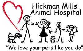 Kansas City’s Top Veterinary Clinics Reviewed, Kansas City