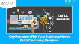 Key Reasons Why Your Business Needs Data Cleansing, Dallas