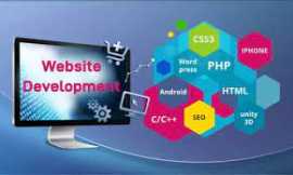 Leading Web Development Services in India, Noida
