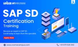 SAP SD Certification, Noida