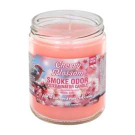 Shop Smoke Odor Eliminator Candle at Smoker's Outl, $ 8