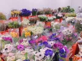 Flower Box Stand for Opening Ceremony and Condolen, Bukit Timah