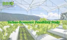 Hydroponic Business Feasibility Report , Gandhinagar