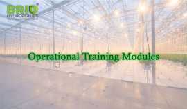 Hands-On Hydroponic Training – Learn to Manage You, Gandhinagar