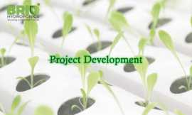 Hydroponic Farming Made Easy – Professional Projec, Ahmedabad