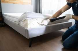 Professional Bed Bug Removal in Singapore, Bukit Timah