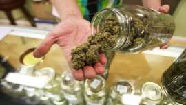 Cannabis Shop, $ 0
