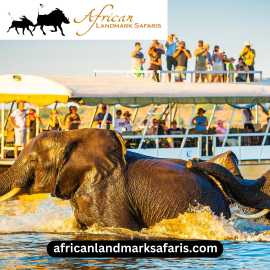 Family-Friendly Kenya Safari