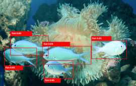 Underwater Detection & Classification with AI, Mississauga