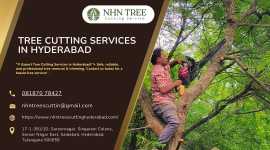 Tree Cutting Services in Hyderabad, Hyderabad