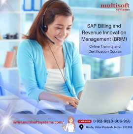 SAP BRIM Training Online Course Certification, Noida