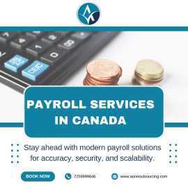 Professional Payroll Services with Aone Outsourcin, 100 Mile House