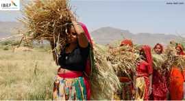 Industries in Rajasthan: Driving Economic Growth