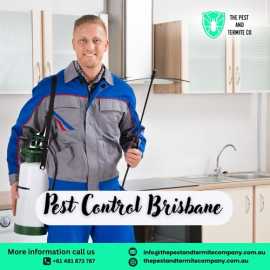 Professional Pest Control Service in Brisbane , Brisbane