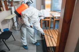Pest Emergency? Get Same-Day Pest Control Service!, Phoenix