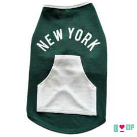 Shop Cute and Best Dog Clothes for All Occasions, New Delhi