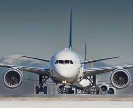Zipair Tokyo SIN Terminal +1-888-839-0502, Adelanto