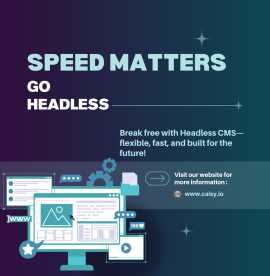 Upgrade Your Content Management with Caisy Headles, Stuttgart