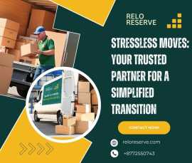 Stressless Moves: Your Trusted Partner , New York