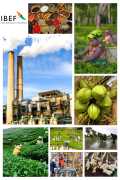 Industries in Kerala: A Thriving Hub for Business 