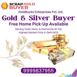 How to search today's Gold price in Gurgaon , Noida