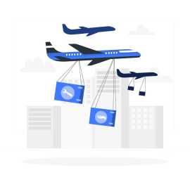 Air Custom Clearing Agents in Mumbai, Delhi
