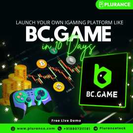 BC.Game Clone Script with Enhanced API Support, Ankara