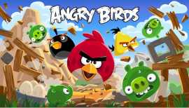 Angry Birds Laptop and Desktop Computer Game, $ 5