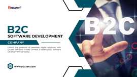 B2C Software Development Company, Jaipur