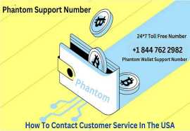 Secure Your Crypto Assets with Phantom Wallet Supp, Dallas