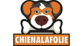 Ultimate Guide to the Best Chewing Toys for Dog, Repentigny