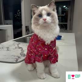 Premium Dog Clothes and Cat Clothes for Every Pets, New Delhi