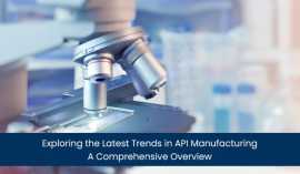 Buy Pharmaceutical APl - Manufacturer & Suppli, Gurgaon