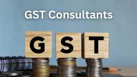 Expert GST Consultants for Your Business, Noida