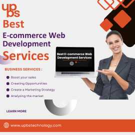 Best E-commerce Website Development Services, Noida