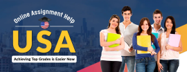 Online Assignment Helper in the USA, New York