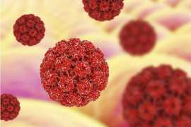 Human Papillomavirus (HPV) Antiviral Services, New York