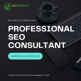 Boost Your Online Presence with Expert SEO Service, Mohali
