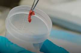 Buy Laboratory Equipment Online, Washington