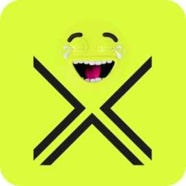 memesX – Meme Coins Platform, Boston