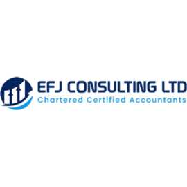 EFJ Consulting – Leading Management Accounting Lon, London