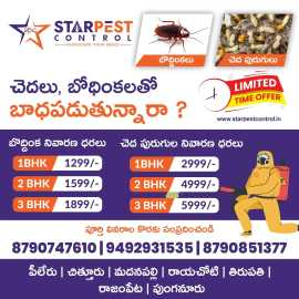 Affordable Anti Termite Pest Control Near Me || St, Kurnool