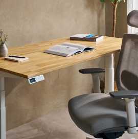PC Desks – Ideal for Standing or Sitting Work!, $ 1
