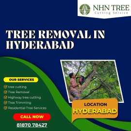 Best Tree Removal In Hyderabad / NHN Tree Cutting, Hyderabad