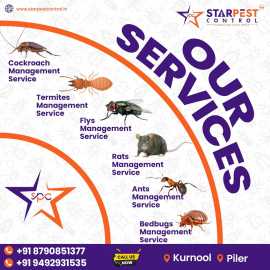 Mosquito Spray Services Near Me || Star Pest Contr, Kurnool
