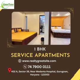 Best 1BHK Serviced Apartment in Gurgaon, Gurgaon