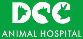 Best Veterniary Hospital  in Gurgaon, Gurgaon