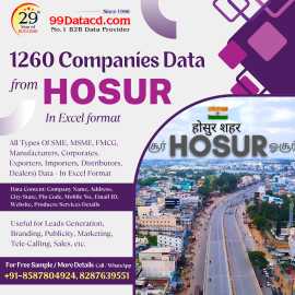 List of Companies in Hosur, Delhi